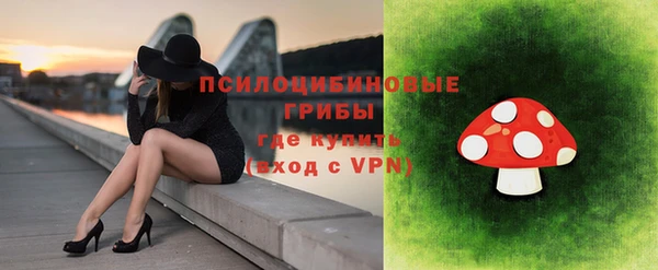 экстази Гусь-Хрустальный