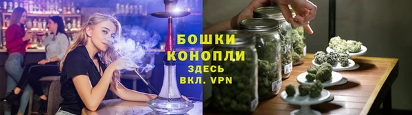 дмт Пестово