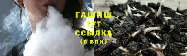 a pvp Пересвет