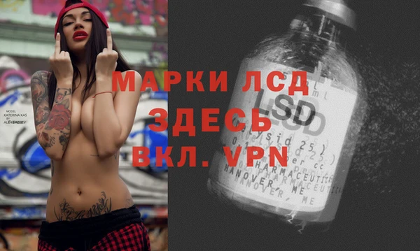 эйфоретик Гусев
