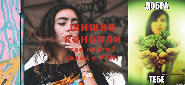 эйфоретик Гусев