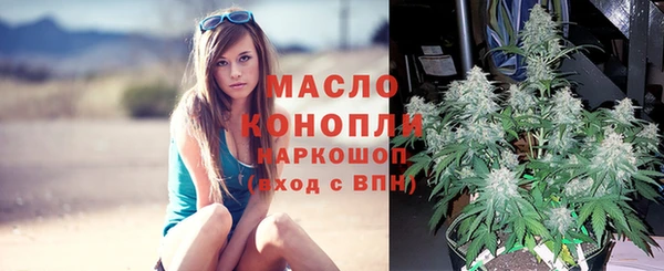 дмт Пестово