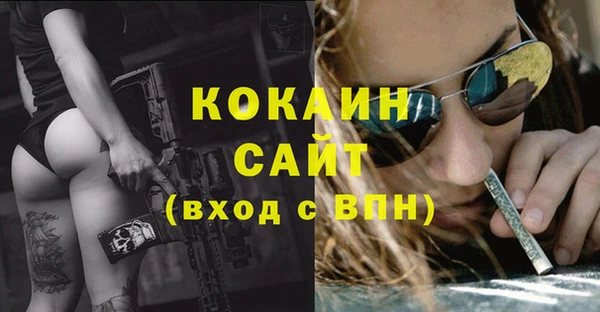 a pvp Дмитриев