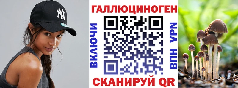 Купить где  Игарка  Галлюциногенные грибы Magic Shrooms 